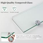 SAYAYO Wall Mounted Glass Shelf with Brackets