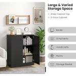 Stylish Black Wooden Storage Cabinet with Doors