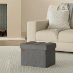 Stylish Storage Ottoman for Living Room or Bedroom
