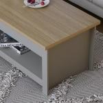 Arlington Grey Coffee Table with Storage Shelf