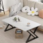 Stylish Low Coffee Table with Steel Frame