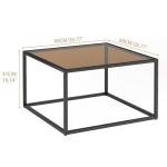 Modern Dark Brown Glass Coffee Table