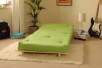 Small Single Wooden Futon Set with Lime Mattress