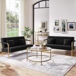 Modern Velvet Loveseat with Gold Accents - Black
