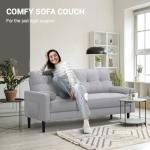 Comfy Modern 2-Seater Sofa with Pillows and Storage
