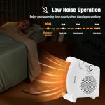 Rainberg 2-in-1 Electric Fan Heater