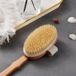 Natural Bristle Dry Brushing Body Brush Set