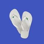 Havaianas Top Brasil Flip-Flops with Brazilian Flag