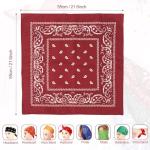 12 Pack Colorful Bandanas for Men and Women