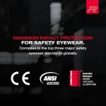 Riley Navigator X Anti-Fog Safety Glasses