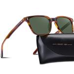 Retro Square Polarised Sunglasses for Men