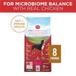 Purina ONE Chicken & Rice Dry Dog Food 8 lb