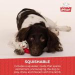 Lamb Chop Plush Dog Toy for Small Pets