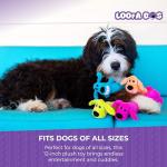 Happy Pet Loofa Dog Plush Toy, 12 Inches