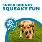 Interactive Squeaker Tennis Balls for Dogs - 4 Pack