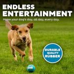 Interactive Squeaker Tennis Balls for Dogs - 4 Pack