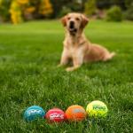 Interactive Squeaker Tennis Balls for Dogs - 4 Pack