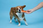 Hartz Chew'n Clean Small Dog Bone