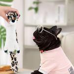 SHARLOVY 6-Pack No Stuffing Squeaky Dog Toys