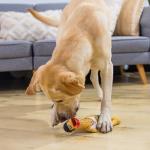 Charming Pet Squawkers Earl Squeaky Rubber Chicken Toy