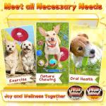 25 Pack Dog Chew Toys for Teething and Fun