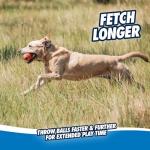 Chuckit! Ultra Tug Dog Toy with Rubber Ball