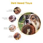 No Stuffing Plush Squeaky Dog Toy 5-Pack