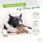 Medium Benebone Bacon Wishbone for Tough Chewers