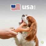 Medium Benebone Bacon Wishbone for Tough Chewers