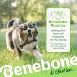 Medium Benebone Bacon Wishbone for Tough Chewers