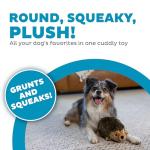 Outward Hound Hedgehogz Plush Grunting Dog Toy