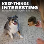 Outward Hound Hedgehogz Plush Grunting Dog Toy