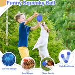 Indestructible Squeaky Dog Ball for Aggressive Chewers