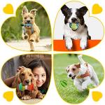 25-Pack Chew Toys for Small Dogs: Ropes & Balls