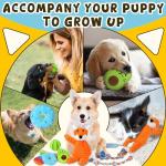 12 Pack Teething Toys for Small Puppies