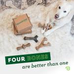 Benebone Large 4-Pack Dog Chew Toys