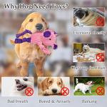 LECHONG 5 Pack Tough Squeaky Plush Dog Toys
