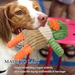 LECHONG 5 Pack Tough Squeaky Plush Dog Toys