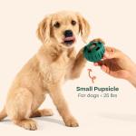 WOOF Pupsicle - Durable Interactive Dog Toy