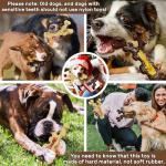 Durable Dog Chew Toys for Aggressive Chewers