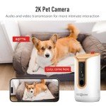 360° View Pet Camera with Treat Dispenser