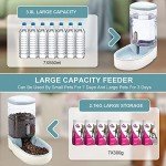 Meikuler 3.8L Automatic Pet Feeder & Water Dispenser