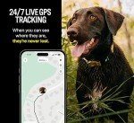 Fi Series 3 Smart Dog Collar with GPS Tracker