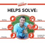 Klein Brands ST100 ShakeTrainer Dog Training System