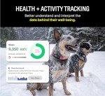 Fi Series 3 Smart Dog Collar with GPS Tracker