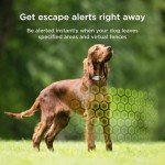 Petcube GPS Tracker for Dogs with Alerts