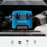 Igloo BMX 25 Quart Cooler in Green/Orange