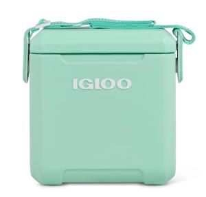 Seafoam 11 Qt Tag-Along Picnic Cooler