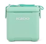 Seafoam 11 Qt Tag-Along Picnic Cooler