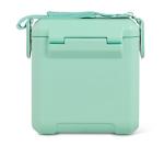 Seafoam 11 Qt Tag-Along Picnic Cooler